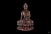 Sakyamuni Buddha