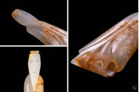 Weng Zhong Weng Zhong