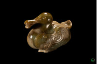 Jade Duck