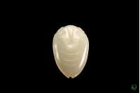 Jade Cicada