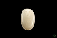 Jade Cicada